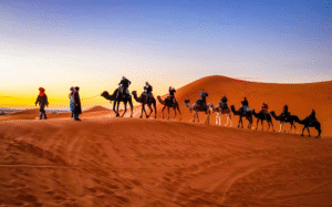desert